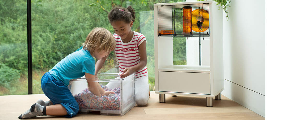 Two kids playing with a hamster inside the burrowing box of a qute