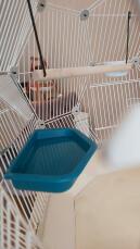 Inside of Geo bird cage with white cage, cream base and water dish inside