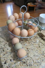 Una pattumiera con un sacco di belle uova.