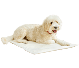 Tapis rafraîchissant Omlet en mousse à mémoire de forme pour chien