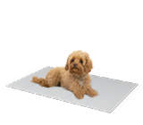 Omlet Cooling Mat for Dogs Medium - Grey and Cream