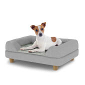 Hund sitzt auf einem kleinen Topology hundebett mit grauer nackenrolle und runden holzfüßen