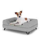 Hund sitzend auf einem kleinen Topology hundebett mit grauer nackenrolle und schwarzen metall-haarnadelfüßen