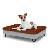 Hund sitzt auf einem kleinen Topology hundebett mit mikrofaserauflage und schwarzen metall-haarnadelfüßen