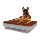 Hund sitzt auf einem großen Topology hundebett mit mikrofaserauflage und runden holzfüßen