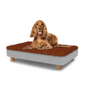 Hund sitzt auf einem mittelgroßen Topology hundebett mit mikrofaserauflage und runden holzfüßen