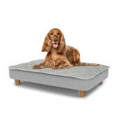 Hund sitzt auf einem mittelgroßen Topology hundebett mit gestepptem topper und runden holzfüßen