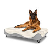 Hund sitzt auf einem großen Topology hundebett mit schafsfellauflage und schwarzen metall-haarnadelfüßen