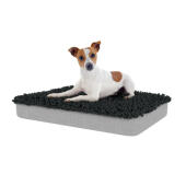 Hund sitzt auf mittelgroßem Topology hundebett mit anthrazitfarbenem mikrofaser-topper