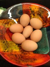 De eieren van Miss Pepperpot van deze week