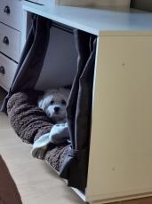 Perro durmiendo en Fido Nook muebles para cajas de perro
