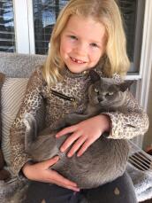 a young girl holding a Burmese grey cat with green eyes sat on the sofa