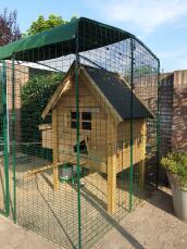 wooden chicken coop in a walk in run with a cover over the top