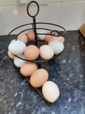 Queda muy bien con todos nuestros huevos de diferentes colores, ¡un auténtico elemento de cocina!