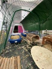 Dentro de un recinto para conejos conectado a una conejera, con paneles de malla en el suelo