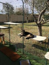 Gato tumbado en Omlet estantería de tela para gatos en Omlet catio