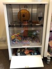Our hamsters love their new home.