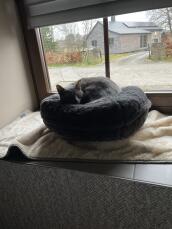 A cat sleeping in a grey donut shaped bed