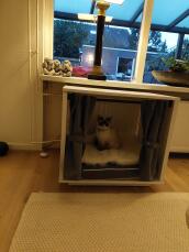 En kat i sit indendørs kattehus med seng og gardiner
