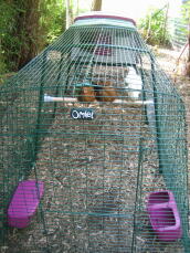A chicken coop with a 3m run and extension