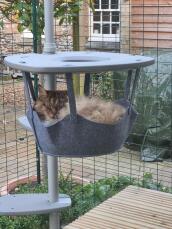 A fluffy cat resting in the hammock of his outdoor cat tree
