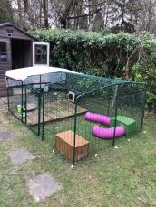 Un corral para conejos de baja altura en un jardín