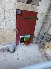 Een groene automatische coopdeur gemonteerd op een houten deur