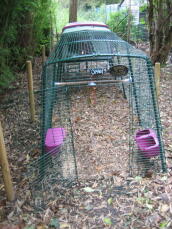 A chicken coop with run, perch and feeder and drinker attached inside the run