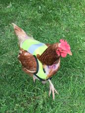 Chicka est ravissante dans sa nouvelle veste