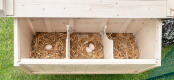 Las cajas nido del lateral del gallinero son adecuadas para todos los tamaños de aves y les permite poner sus huevos tranquilamente