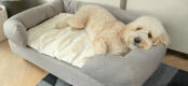 The colour is designed to work with any dog bed.