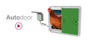  Autodoor Studio bild med en kyckling som kommer ut.