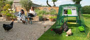Hühner im Garten mit einem geräumigen grünen Cube Hühnerstall mit Auslauf und Zubehör