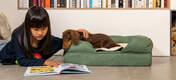 Dog Investigating Girl's book while laying on Omlet Memory Foam Bolster Dog Bed