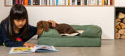 Make sure your dog gets the best possible sleep with Omlet Bolster Dog Beds.