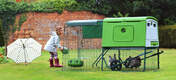 Green Eglu Cube Large Chicken Coop and Run in the garden with girl