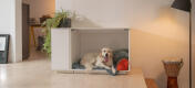 Die Omlet Fido Nook hat eine herausnehmbare Hundebox für Transport und Welpentraining