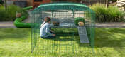 Guinea Pigs with girl inside of Omlet Zippi Guinea Pig Playpen with Zippi Platforms and Zippi Tunnel Connected