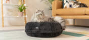 Un gato se relaja en la lujosa y suave cama para gatos maya donut gris