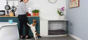 The Fido Studio dog crate fits great in any room of the house