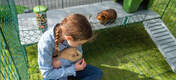 Jente som holder marsvin inne i Omlet Zippi marsvin lekegrind med Zippi plattformer, grønt Zippi ly og Caddi
