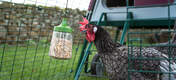 With the 'Pendant' pecking toy, you can make your chickens' run even more fun.
