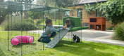 Two rabbits with girl in Omlet Zippi Rabbit Playpen with Green Zippi Shelter and Zippi Platforms