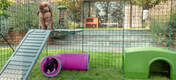 Two Rabbits inside of Omlet Zippi Rabbit Playpen with one on Zippi Platforms and other in Zippi Play Tunnel