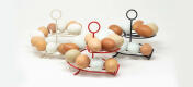 I porta uova in tre colori diversi