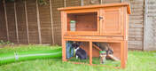 Rabbits in their hutch with Omlet Caddi Treat Holders and a Omlet Zippi Tunnel