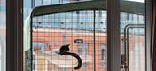 Katteindhegningen til altan er et fuldkommen sikkert udendørs miljø for din kat at nyde