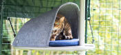 Katt som leker gömma sig i hålet tillbehör till katträdssystemet utomhus Freestyle.