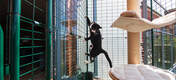 Contrairement aux palissades et aux filets, l'ingénieux enclos de balcon pour chats est parfaitement sécurisé et anti fugue !