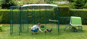 En smart hage med en kyllingflokk og en Eglu Go opp i hønsegården inne.